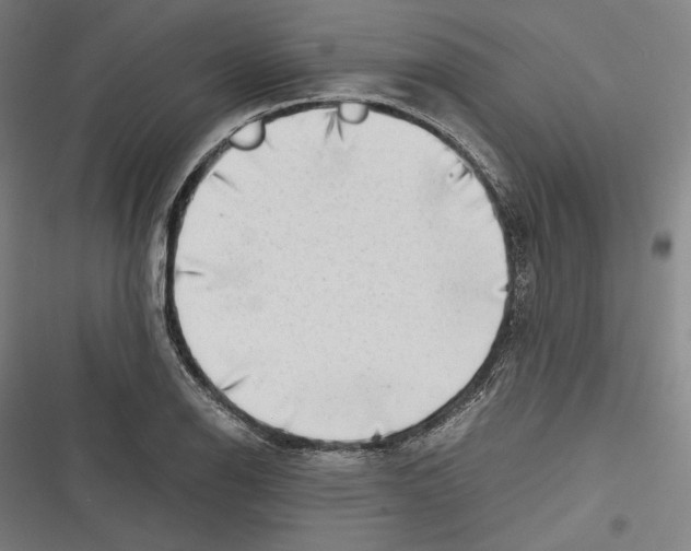 X0000116641126201001111202