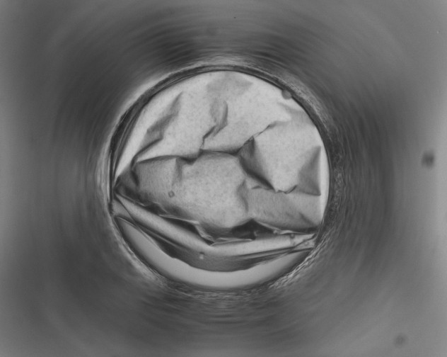 X0000116641127201001111202