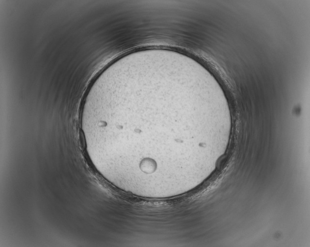 X0000116641129201001111202