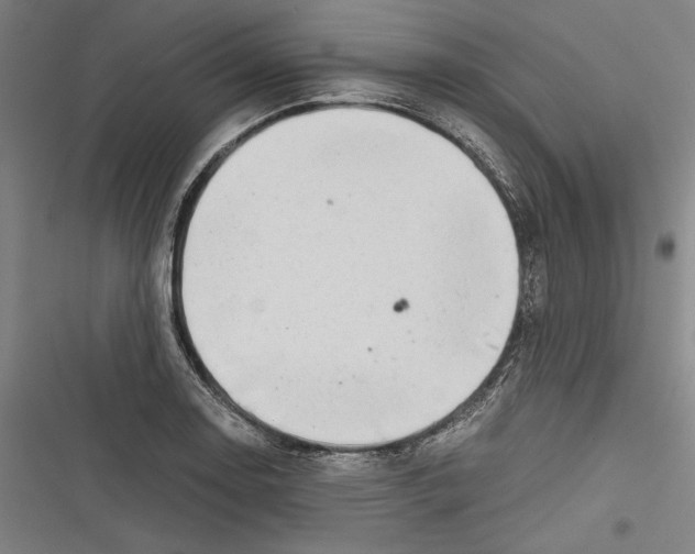 X0000116641130201001111202