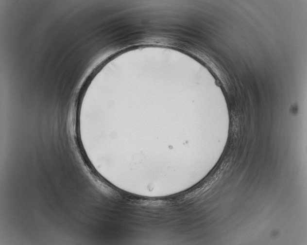 X0000116641131201001111202