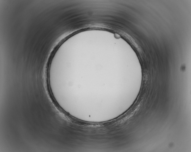 X0000116641133201001111202