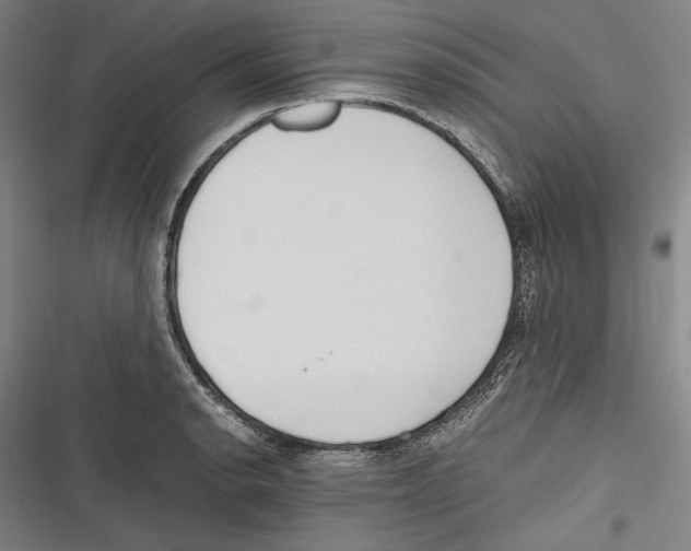 X0000116641134201001111202