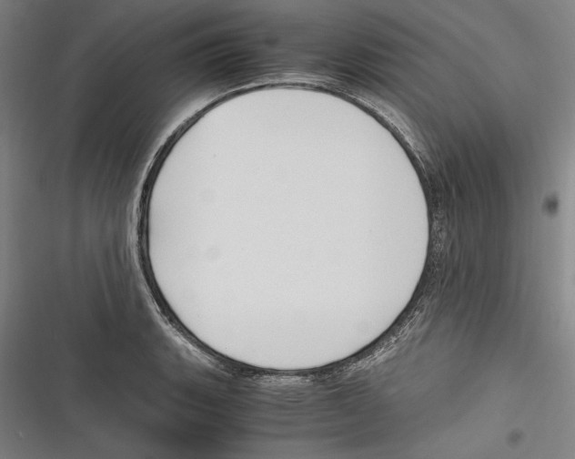 X0000116641135201001111202