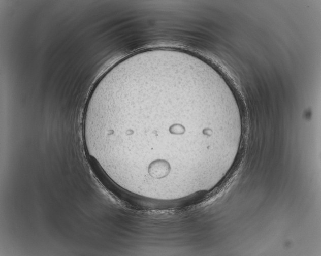 X0000116641137201001111202