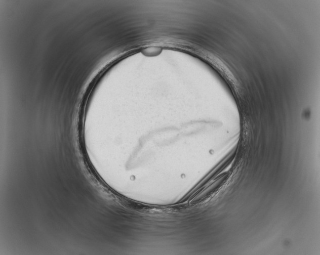 X0000116641138201001111202