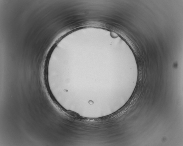 X0000116641139201001111202