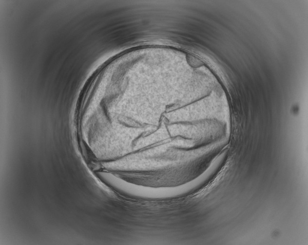 X0000116641141201001111203