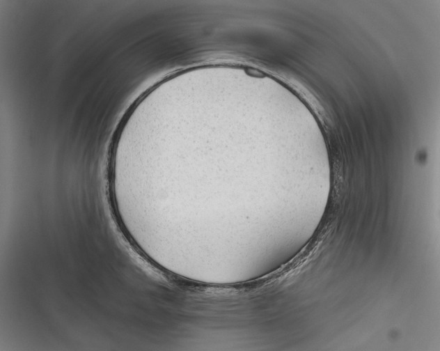 X0000116641142201001111203