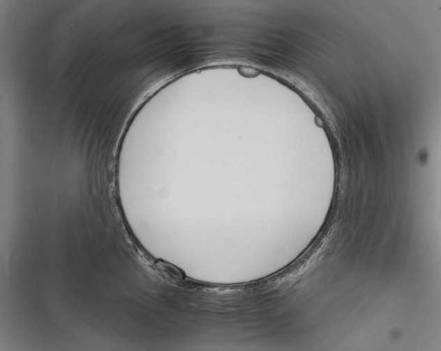 X0000116641145201001111203