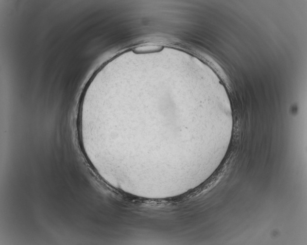 X0000116641146201001111203