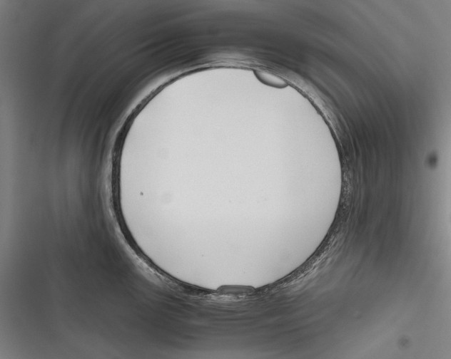 X0000116641147201001111203