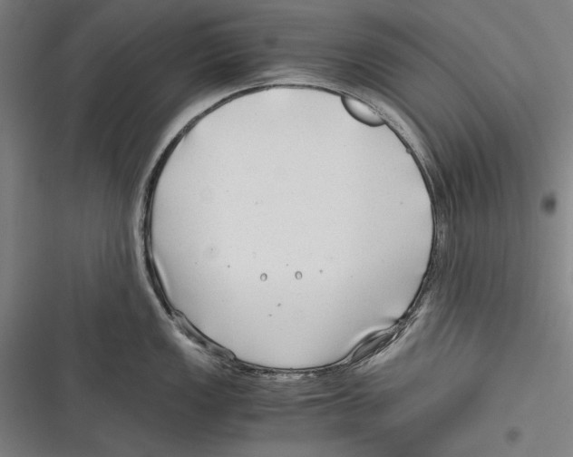 X0000116641149201001111203