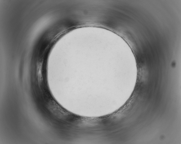 X0000116641150201001111203