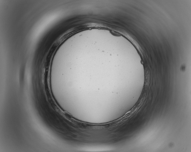 X0000116641151201001111203