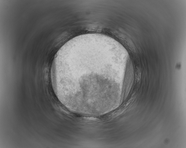 X0000116641154201001111202