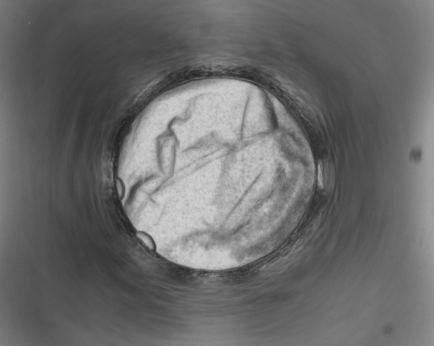 X0000116641155201001111202