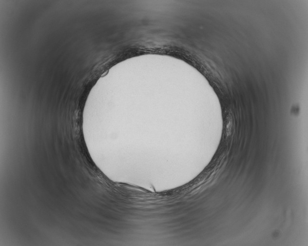 X0000116641156201001111202