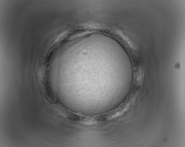 X0000116641157201001111202