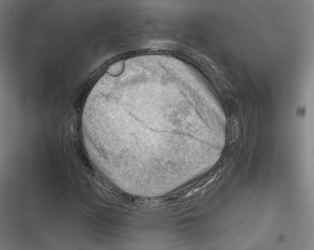 X0000116641158201001111202