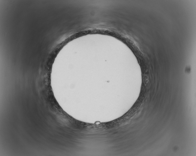 X0000116641159201001111202