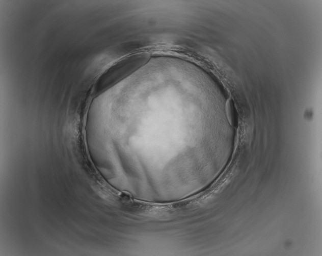 X0000116641161201001111202