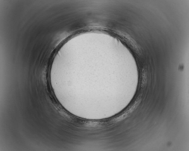 X0000116641162201001111202