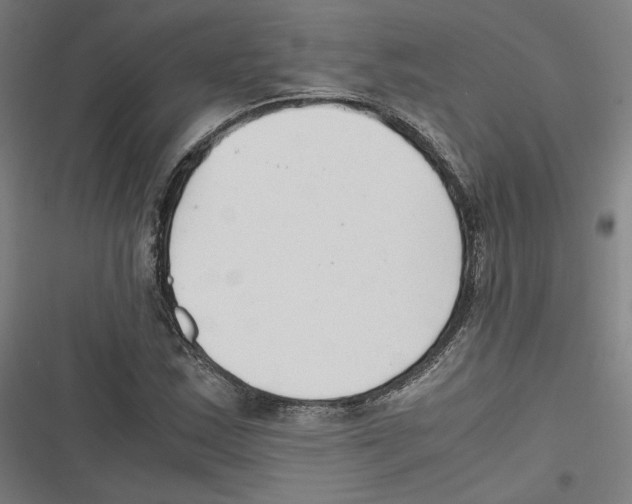 X0000116641163201001111202