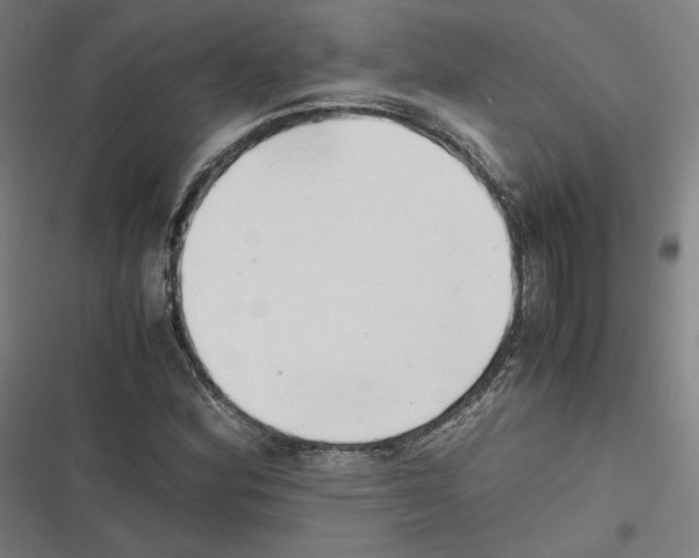 X0000116641164201001111202