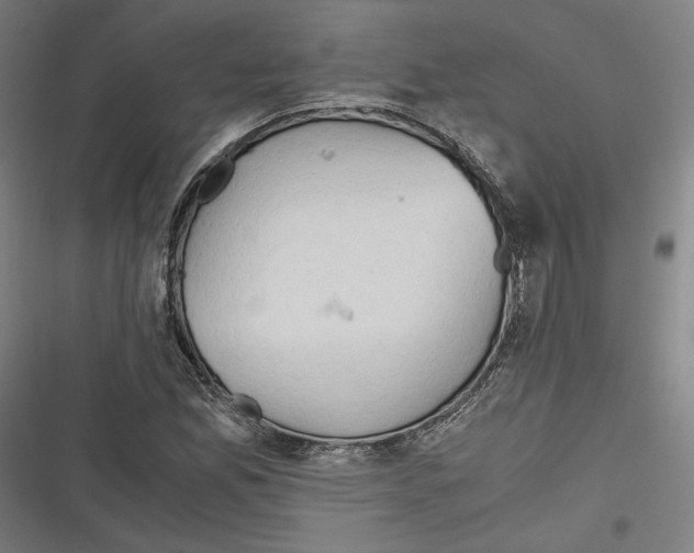 X0000116641165201001111202