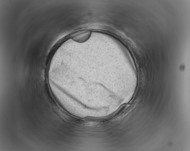 X0000116641166201001111202