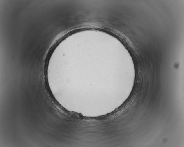 X0000116641168201001111202