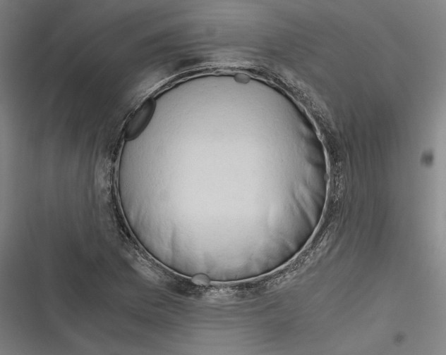 X0000116641169201001111202