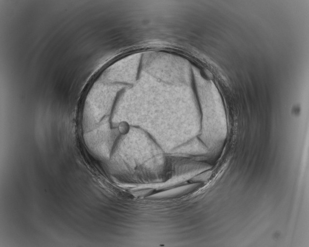 X0000116641170201001111202