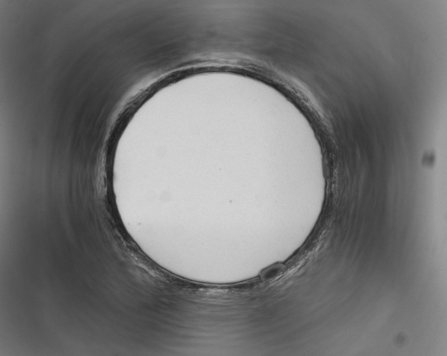 X0000116641172201001111202