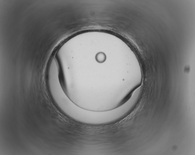 X0000116641173201001111202