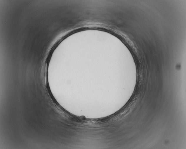 X0000116641175201001111202