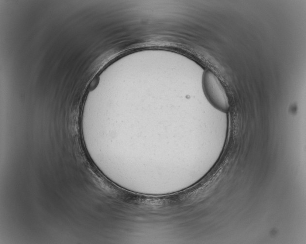 X0000116641177201001111202