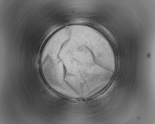 X0000116641178201001111202