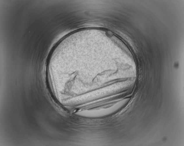 X0000116641179201001111202