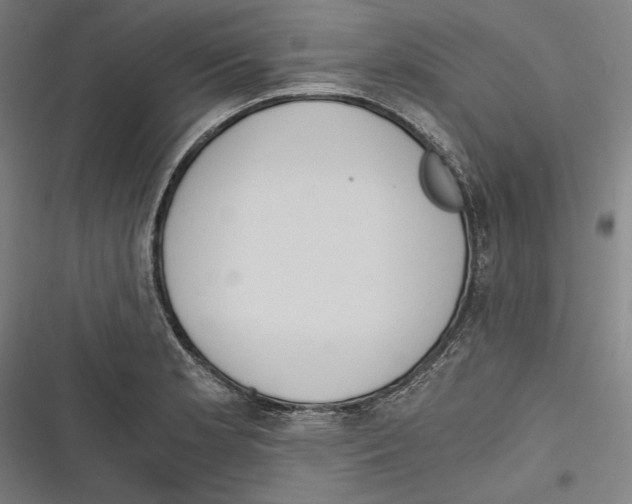 X0000116641181201001111202