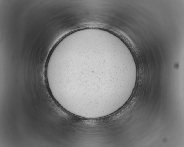 X0000116641182201001111202