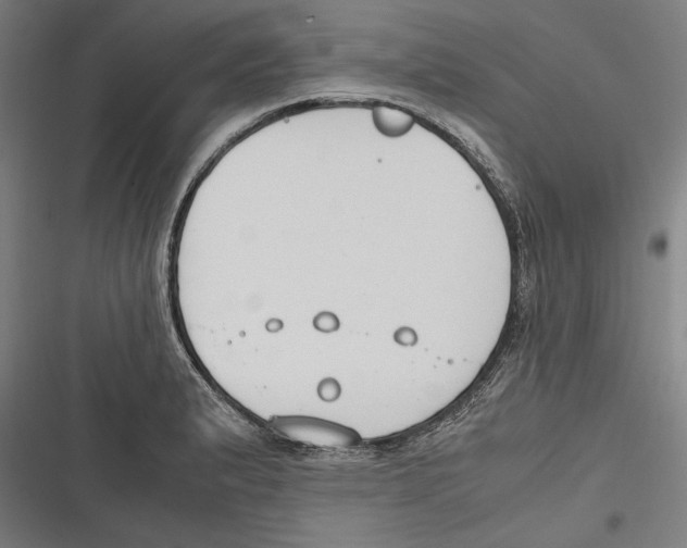 X0000116641183201001111202