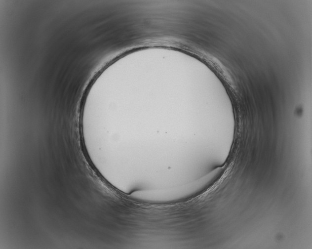 X0000116641184201001111202