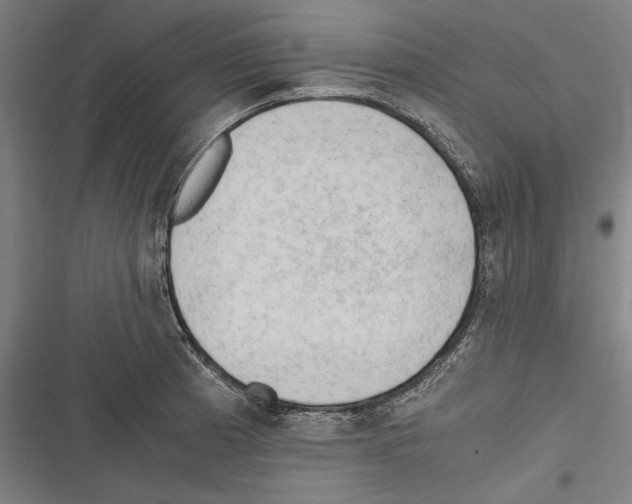 X0000116641185201001111202