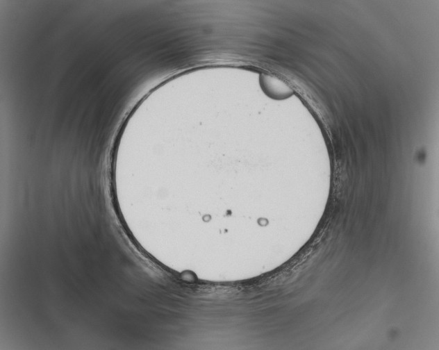 X0000116641187201001111202