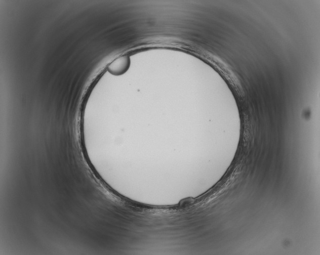 X0000116641188201001111202