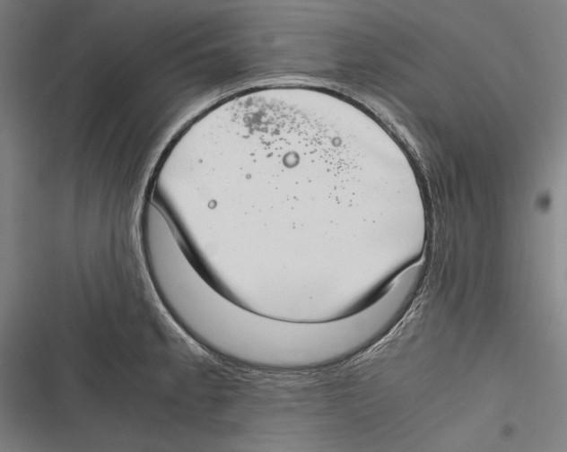 X0000116641189201001111202