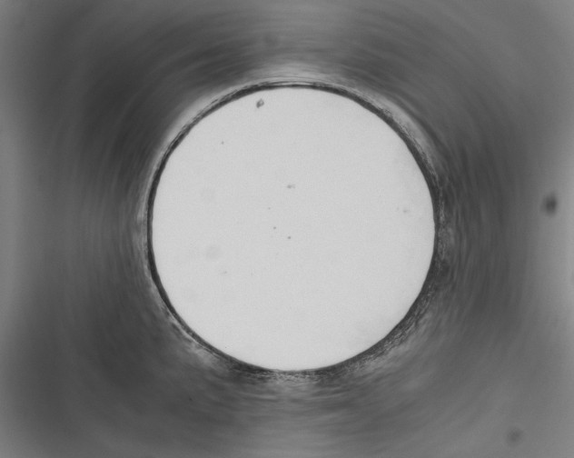 X0000116641191201001111202