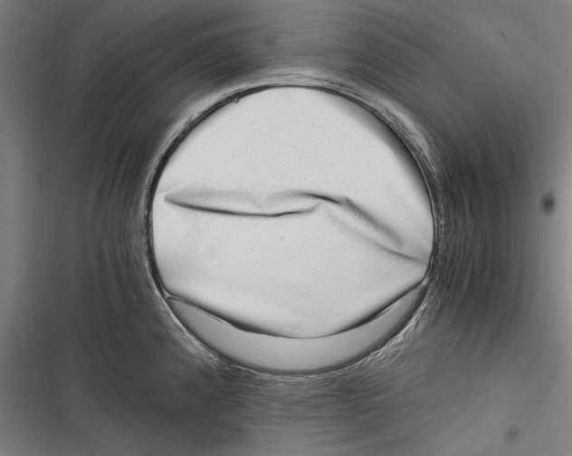 X0000116641192201001111201